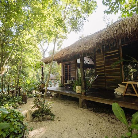 Madre Tierra Eco Habitat Pensionat Puerto Morelos Exteriör bild