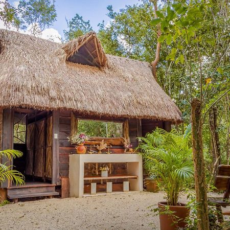 Madre Tierra Eco Habitat Pensionat Puerto Morelos Exteriör bild