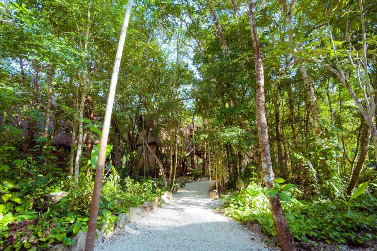 Madre Tierra Eco Habitat Pensionat Puerto Morelos Exteriör bild