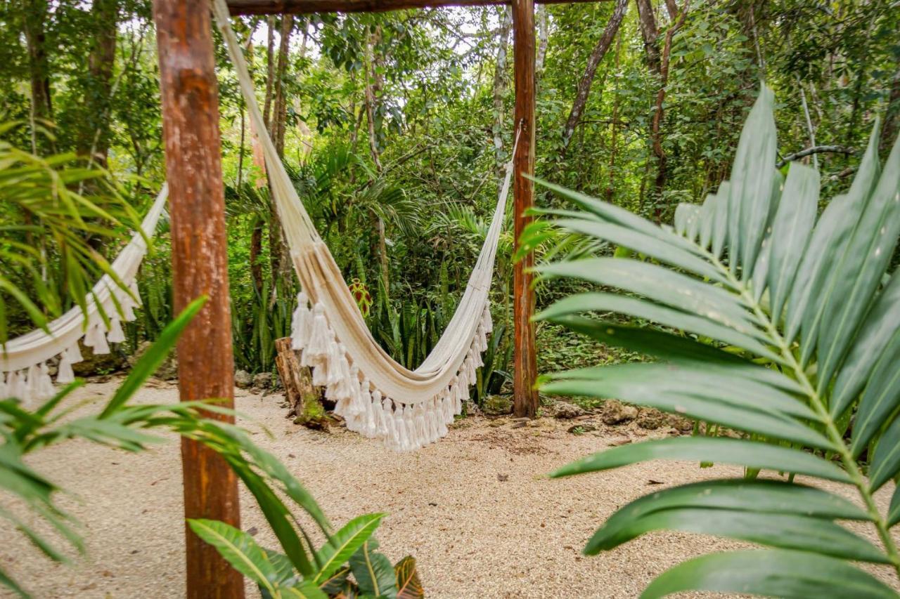 Madre Tierra Eco Habitat Pensionat Puerto Morelos Exteriör bild