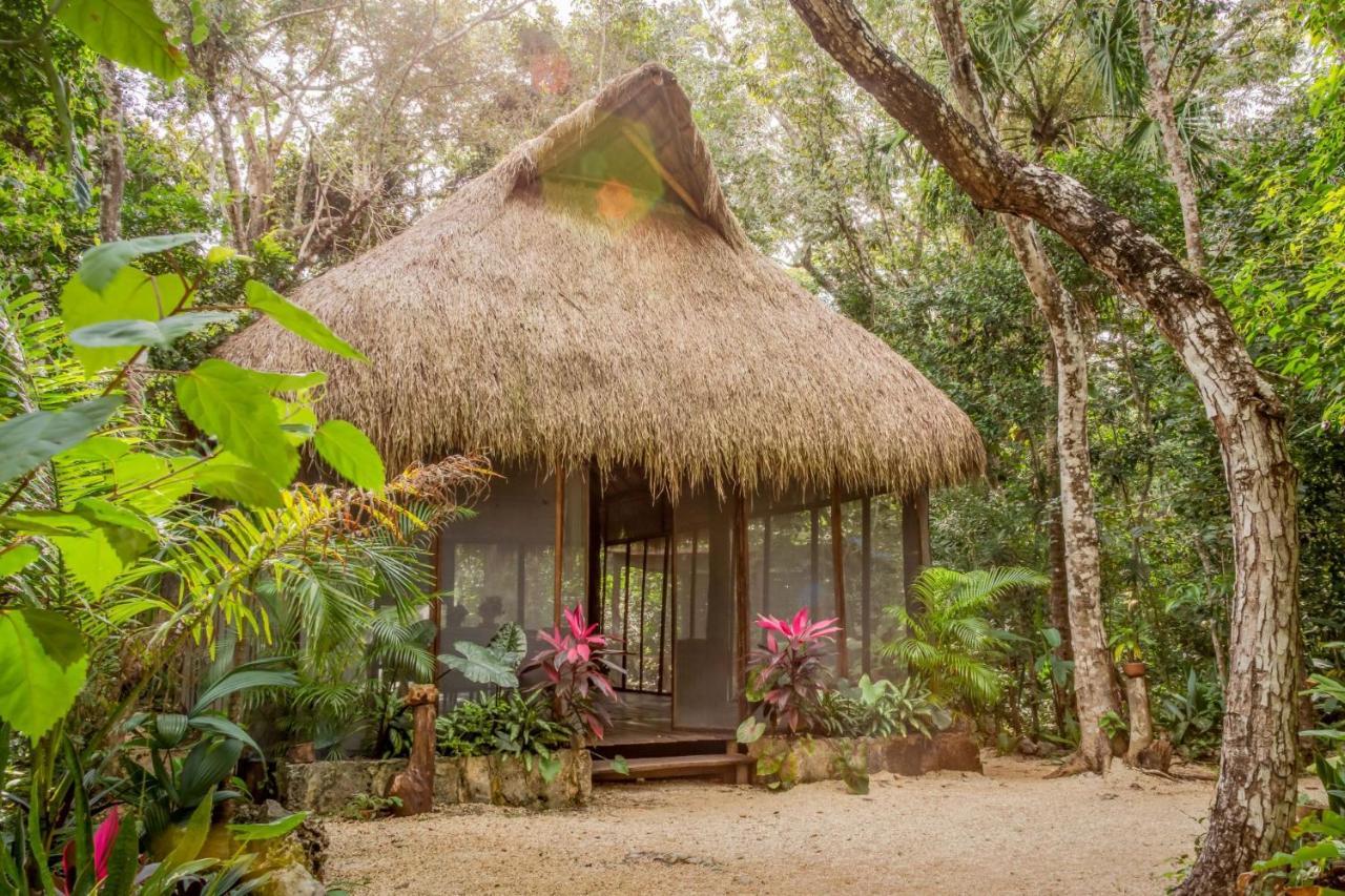 Madre Tierra Eco Habitat Pensionat Puerto Morelos Exteriör bild