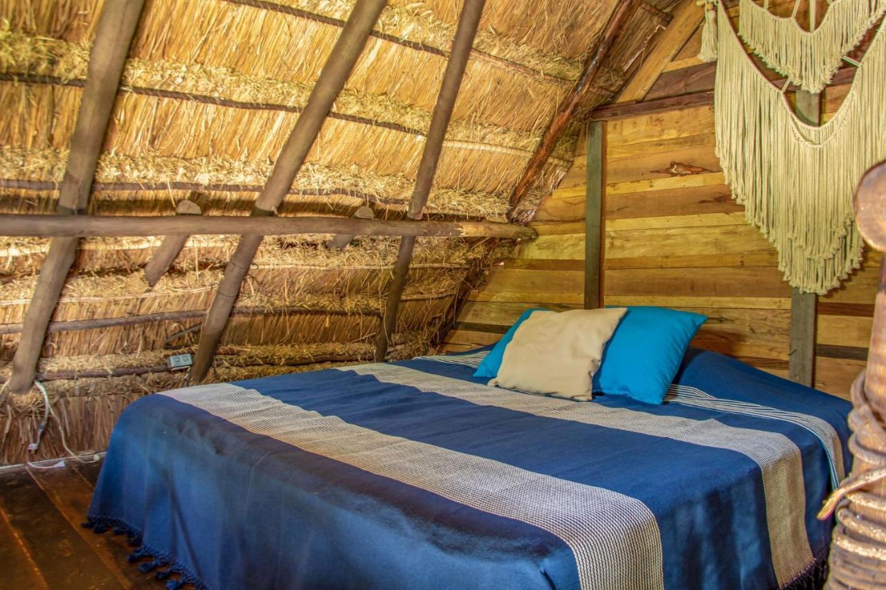 Madre Tierra Eco Habitat Pensionat Puerto Morelos Exteriör bild