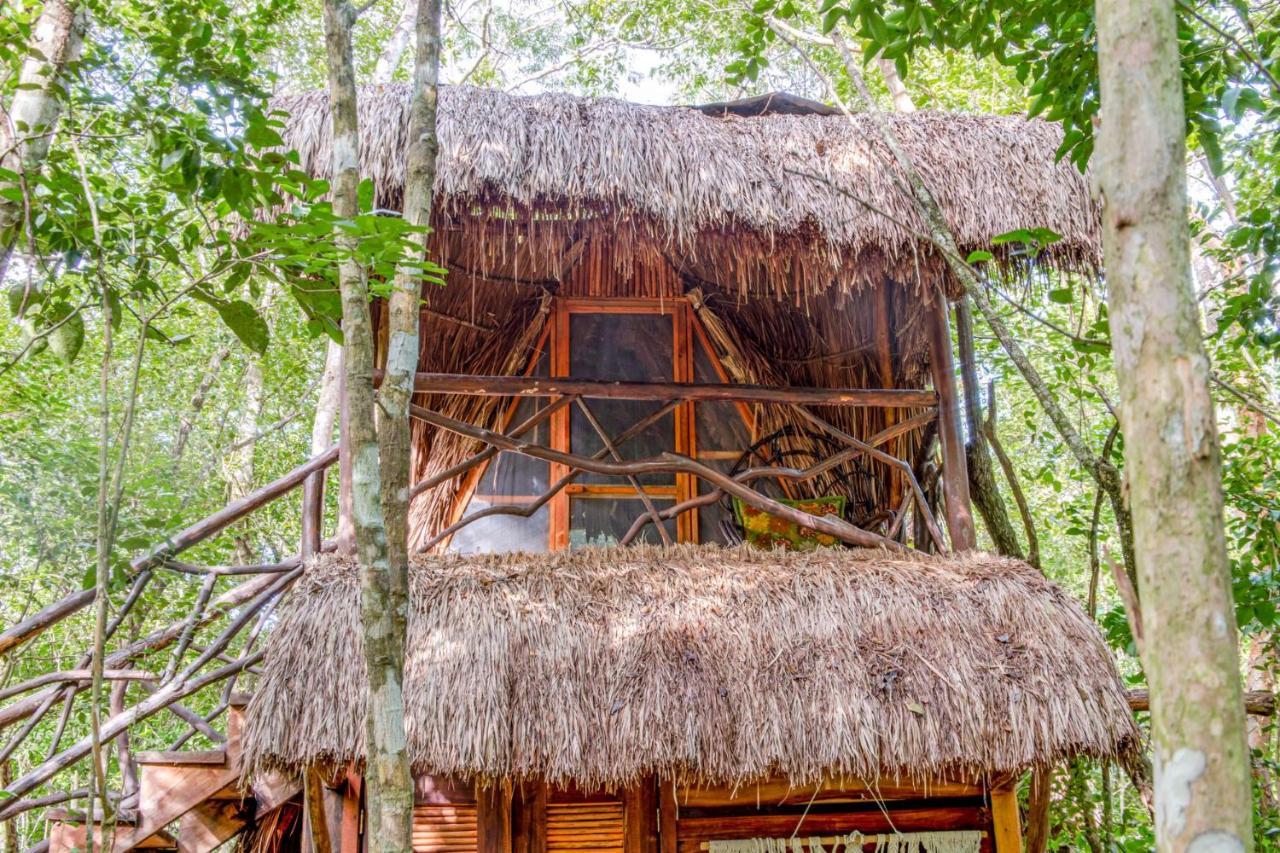Madre Tierra Eco Habitat Pensionat Puerto Morelos Exteriör bild