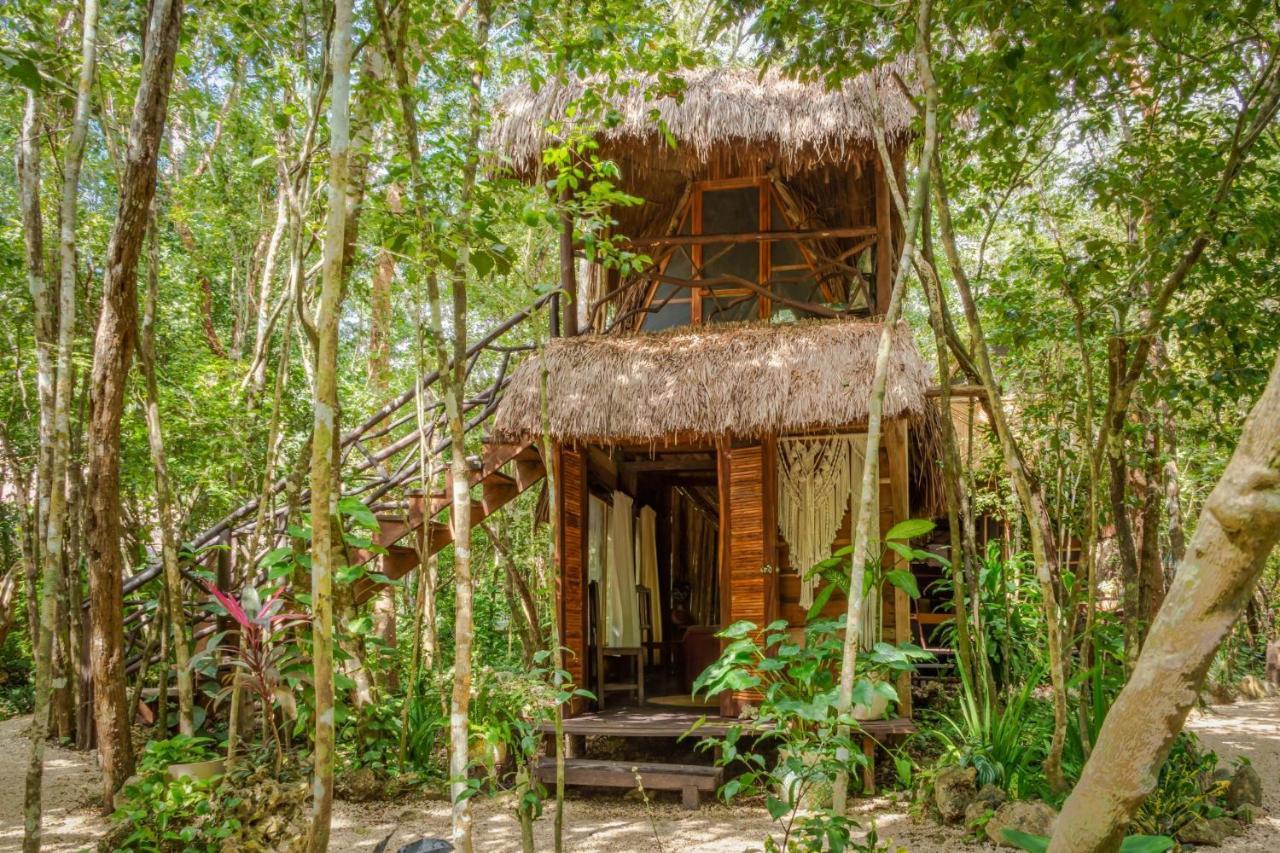 Madre Tierra Eco Habitat Pensionat Puerto Morelos Exteriör bild