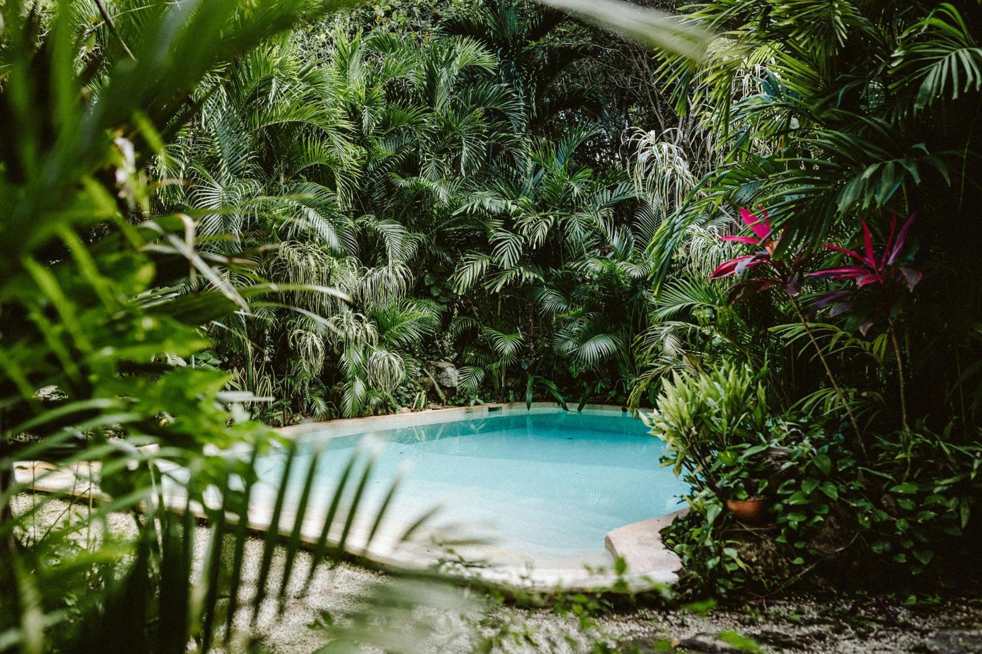 Madre Tierra Eco Habitat Pensionat Puerto Morelos Exteriör bild