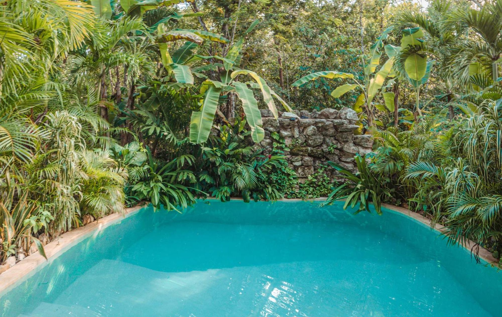 Madre Tierra Eco Habitat Pensionat Puerto Morelos Exteriör bild
