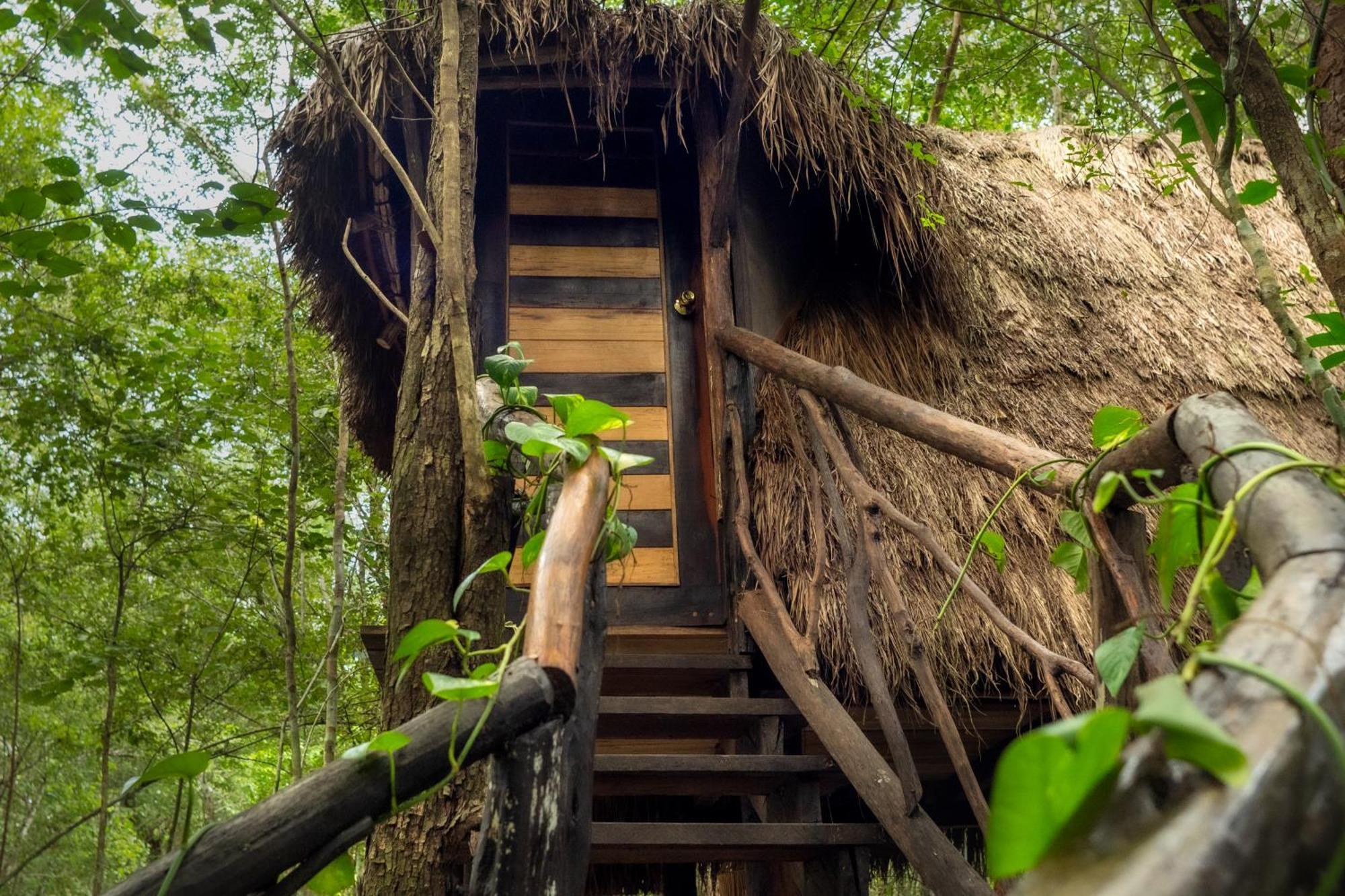 Madre Tierra Eco Habitat Pensionat Puerto Morelos Exteriör bild